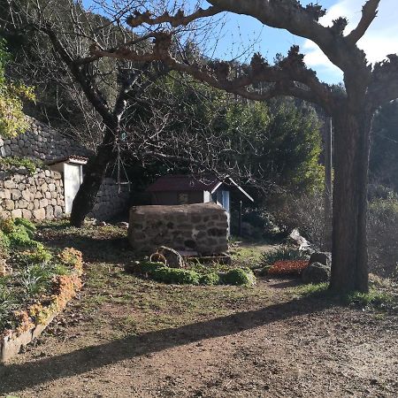 Studio Des Combes Dunières-sur-Eyrieux Exteriör bild