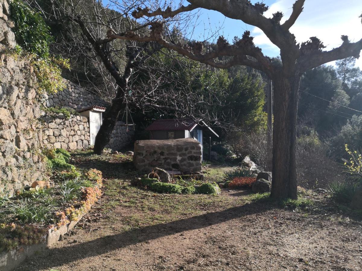 Studio Des Combes Dunières-sur-Eyrieux Exteriör bild